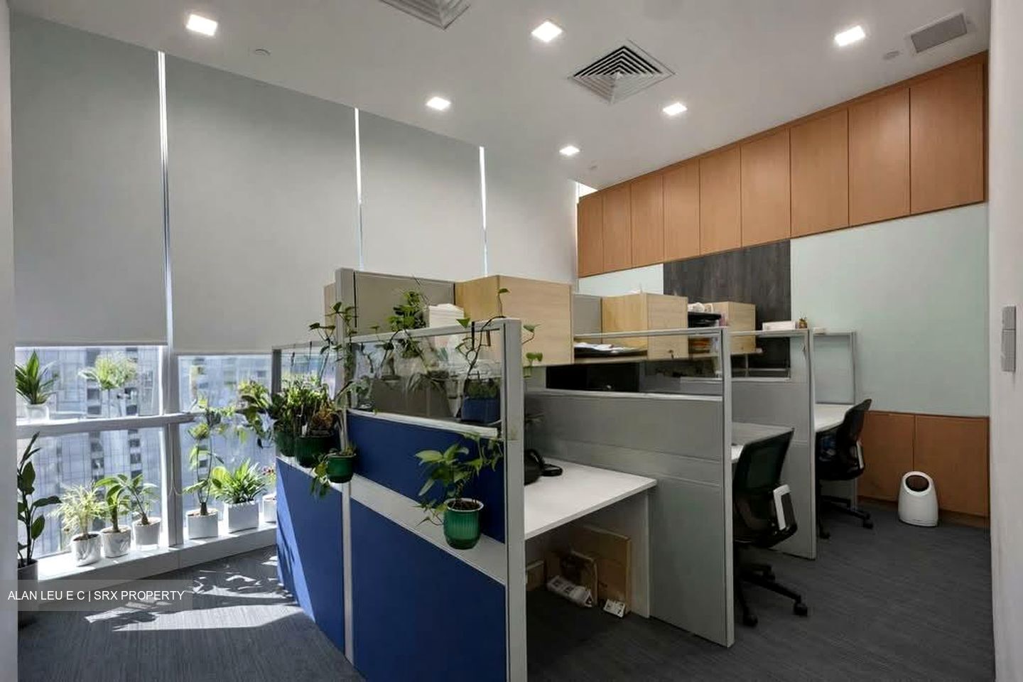 Sbf Center (D1), Office #567488791